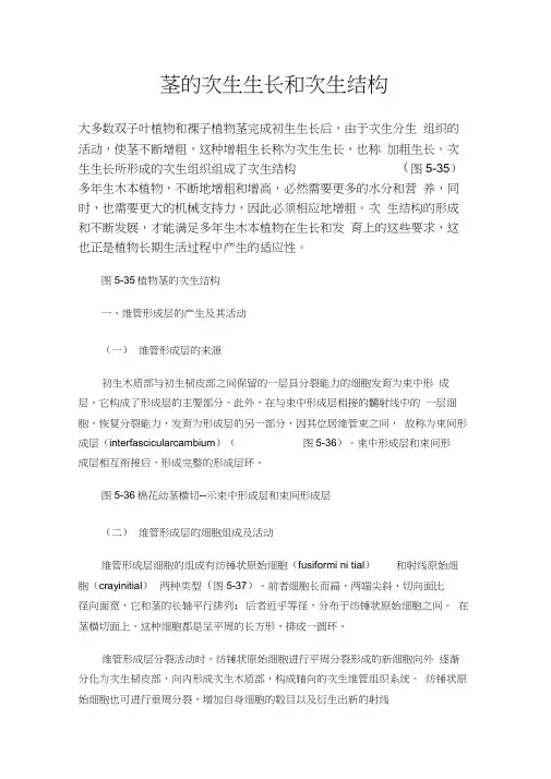 茎的次生生长和次生结构
