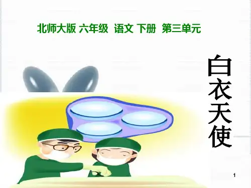 《白衣天使》PPT课件