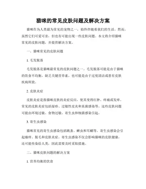 猫咪的常见皮肤问题及解决方案