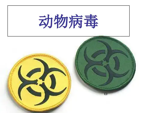 动物病毒课件