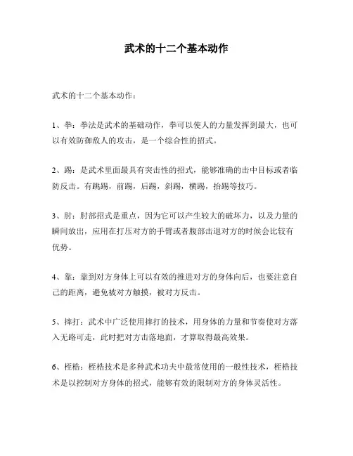 武术的十二个基本动作