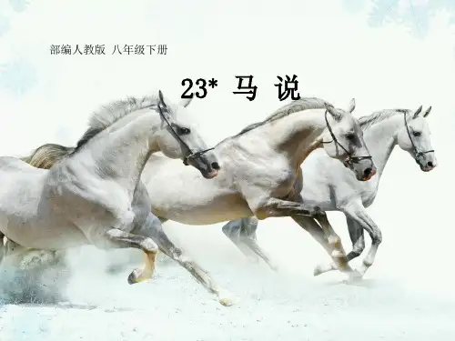 《马 说》课件(共56张PPT)