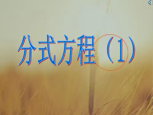 初一数学最新课件-74分式方程(二)浙教版 精品