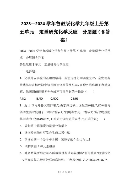 2023—2024学年鲁教版化学九年级上册第五单元  定量研究化学反应  分层题(含答案)