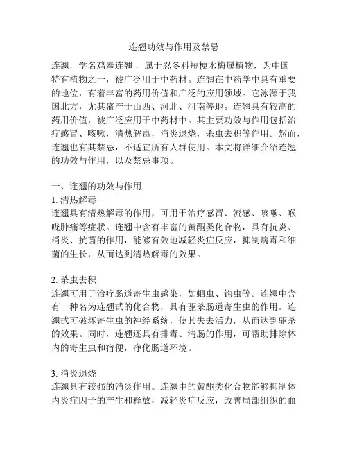 连翘功效与作用及禁忌
