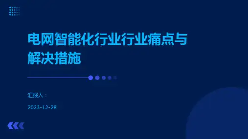 电网智能化行业行业痛点与解决措施.pptx