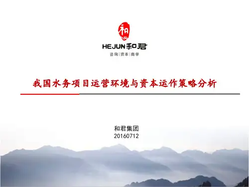 某集团水务项目运营环境与资本运作策略分析课件(PPT 40页)