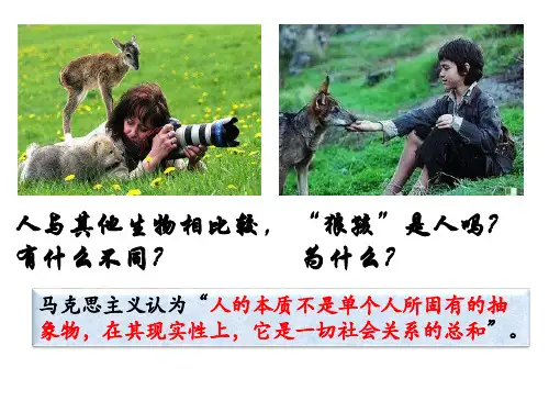 人教部编版八年级道德与法治上册课件：我与社会