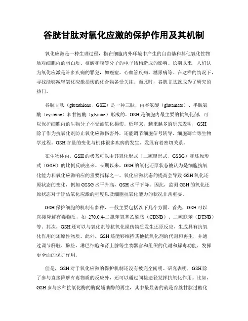 谷胱甘肽对氧化应激的保护作用及其机制
