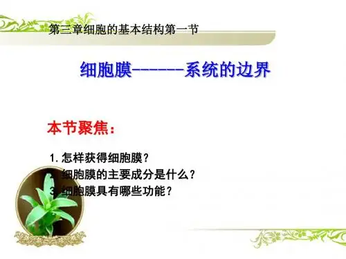 细胞膜——系统的边界 31张 PPT课件