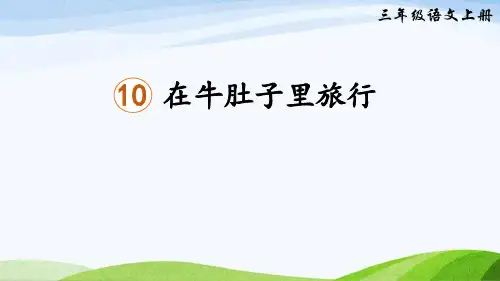 《在牛肚子里旅行》ppt课件