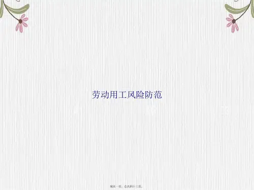 劳动用工风险防范讲课文档