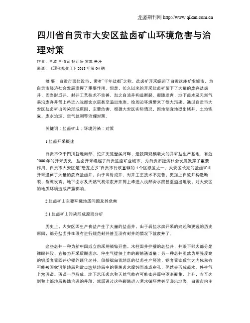 四川省自贡市大安区盐卤矿山环境危害与治理对策