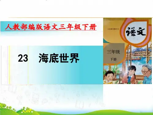 部编版《海底世界 》ppt课件(精美版)12