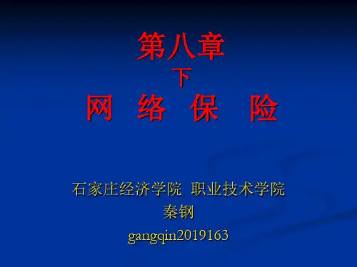 第八章 下：网络保险PPT精品文档40页