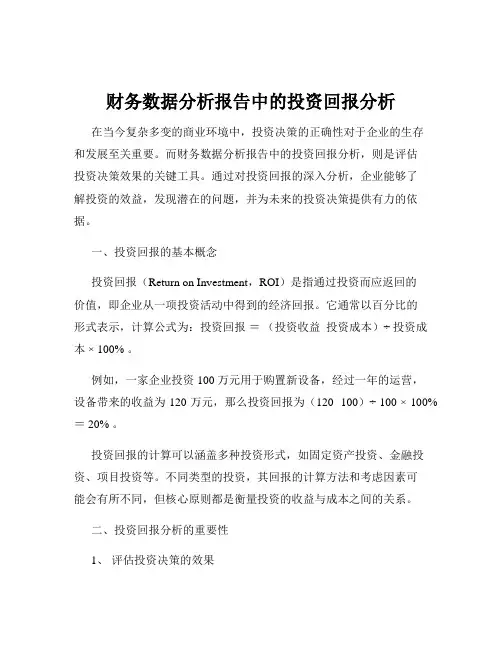 财务数据分析报告中的投资回报分析