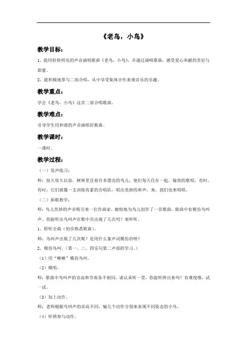 《老鸟,小鸟》教案