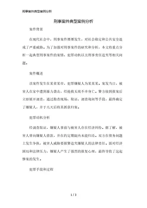 刑事案件典型案例分析精简版