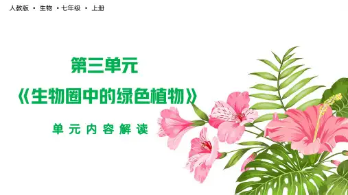 人教版七年级上册第三单元《生物圈中的绿色植物》单元解读