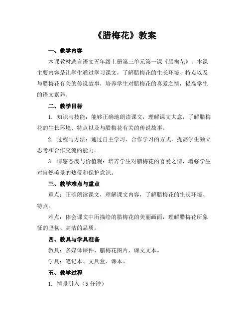 《腊梅花》教案