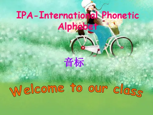 完整音标教学ppt课件