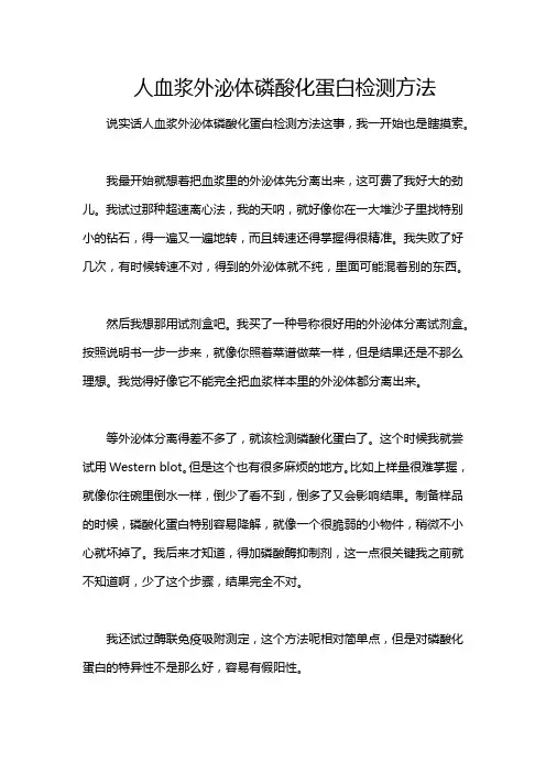 人血浆外泌体磷酸化蛋白检测方法