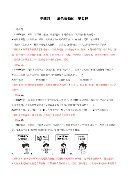 2020中考生物真题分类汇编(山东省)专题04 绿色植物的主要类群(解析版)