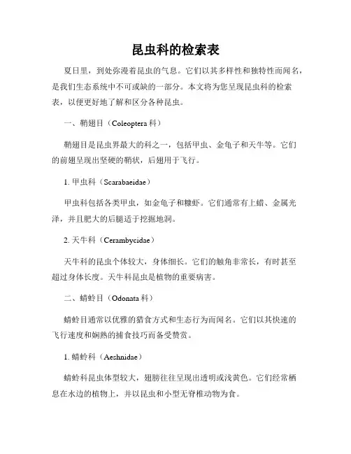 昆虫科的检索表
