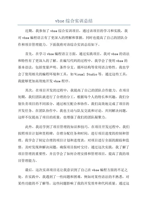 vbse综合实训总结