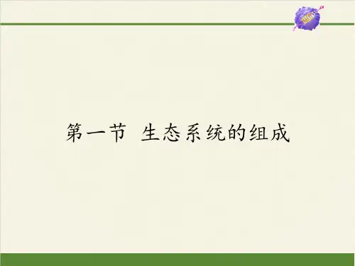 苏教版八年级生物上册 1  生态系统的组成  课件