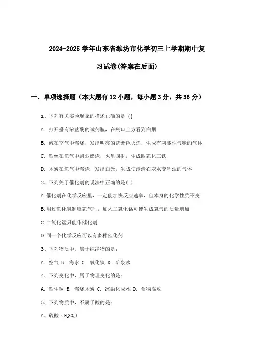 山东省潍坊市化学初三上学期期中试卷及解答参考(2024-2025学年)