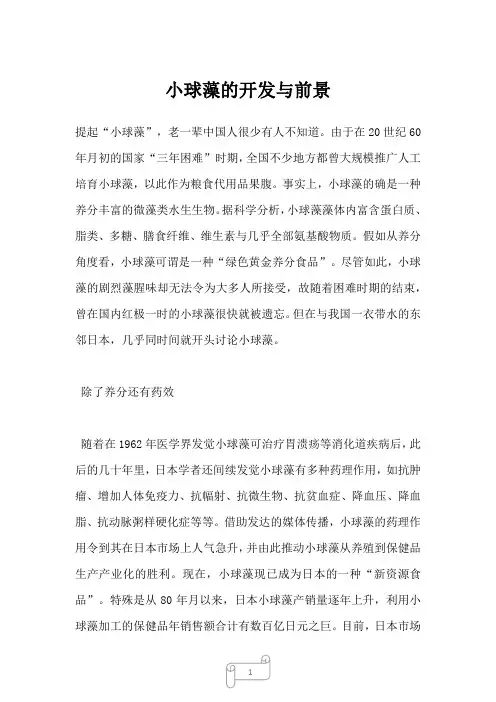 2022年行业分析报告小球藻的开发与前景