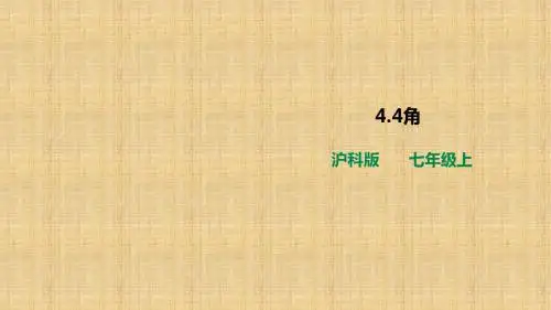 最新文档-4.4角 课件-PPT精品文档