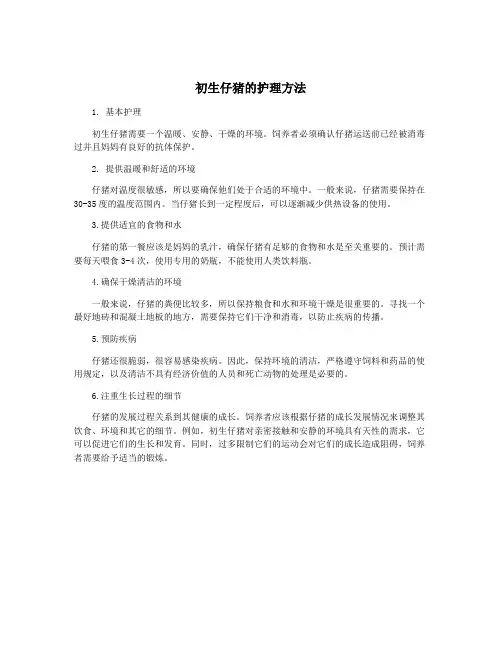 初生仔猪的护理方法