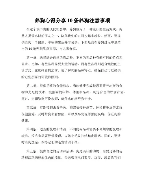 养狗心得分享10条养狗注意事项