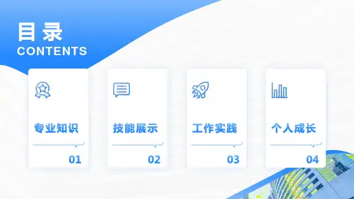 我的工作中的专业知识与技能展示