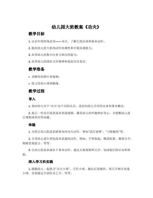 幼儿园大班教案《功夫》