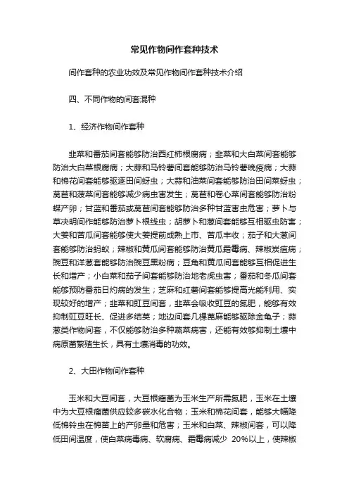 常见作物间作套种技术