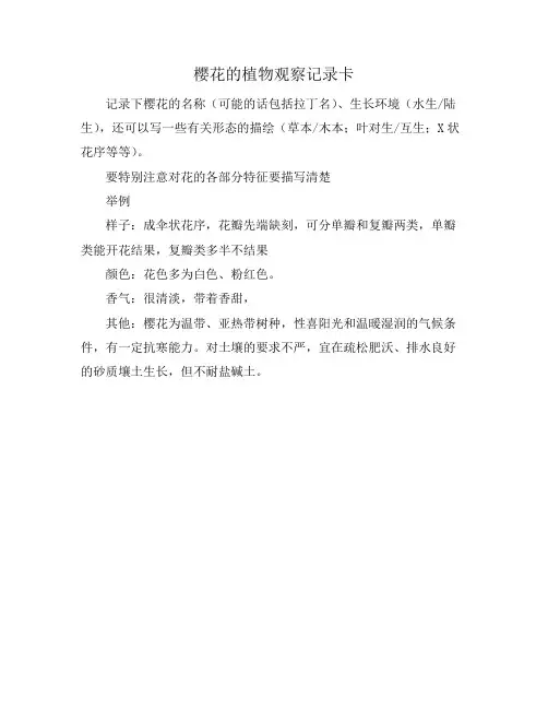 樱花的植物观察记录卡