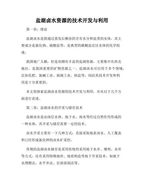 盐湖卤水资源的技术开发与利用