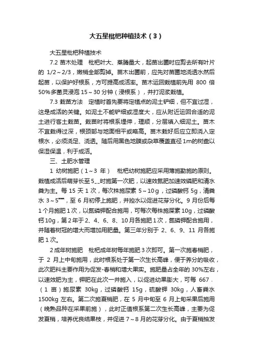 大五星枇杷种植技术（3）