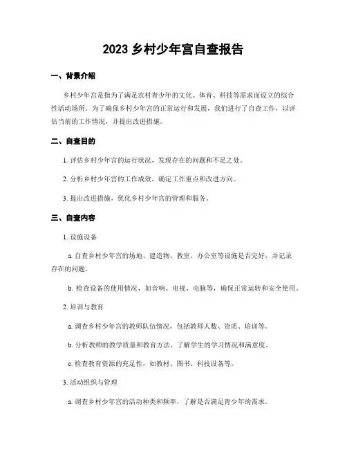 2023乡村少年宫自查报告