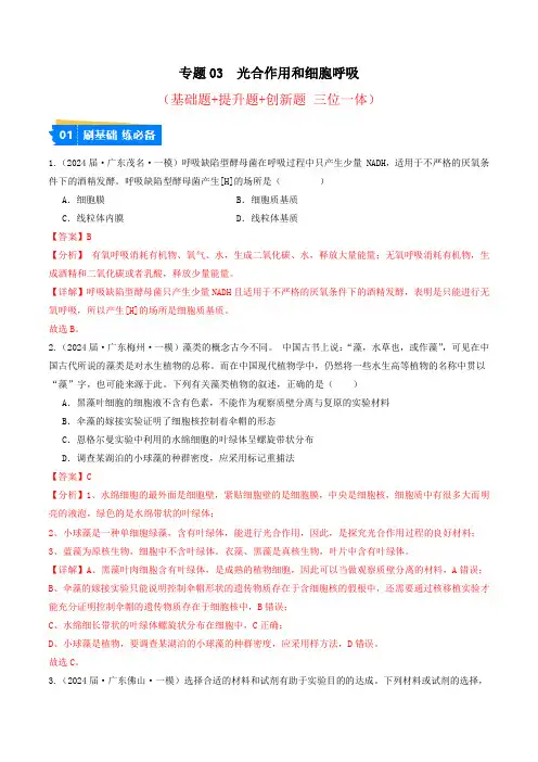 专题03 光合作用和细胞呼吸-2024年高考生物一模试题分类汇编(广东专用)