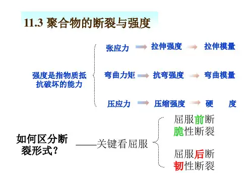 聚合物的断裂与强度2