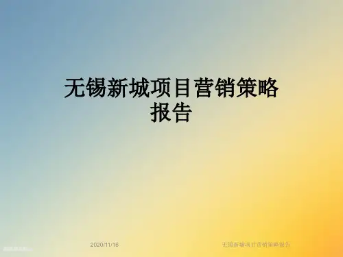 无锡新城项目营销策略报告