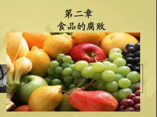 食品安全  第二章++食品腐败