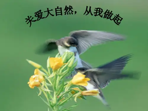 关爱大自然从我做起