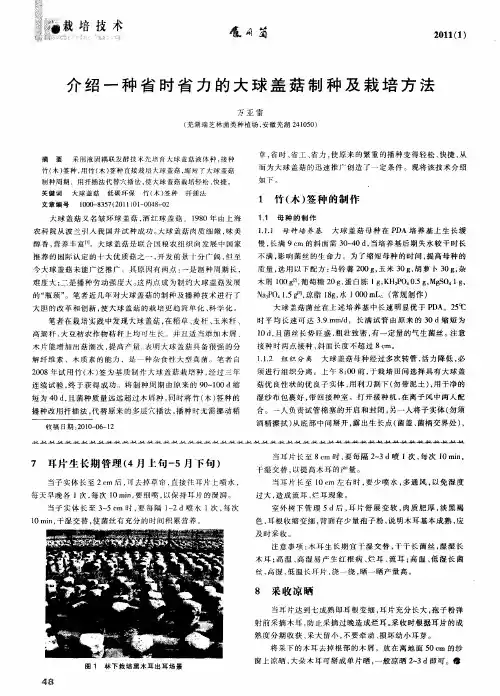 介绍一种省时省力的大球盖菇制种及栽培方法