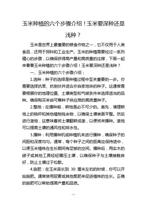 玉米种植的六个步骤介绍!玉米要深种还是浅种？