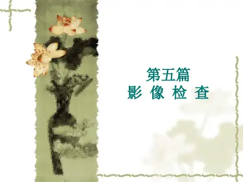 泌尿系统影像检查